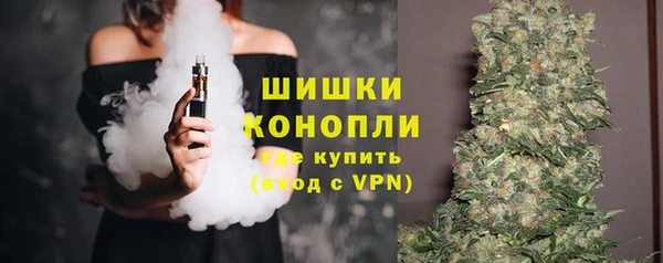 стафф Няндома