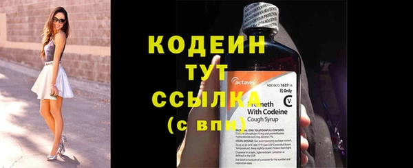 стафф Няндома