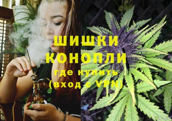 стафф Няндома