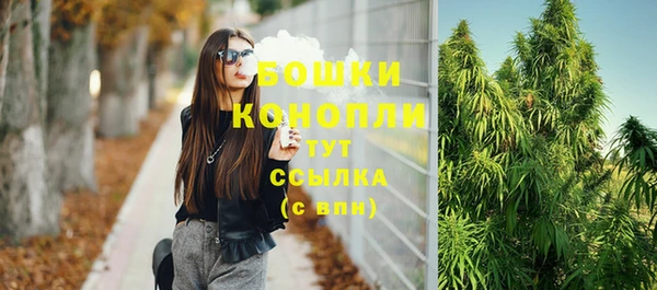стафф Няндома
